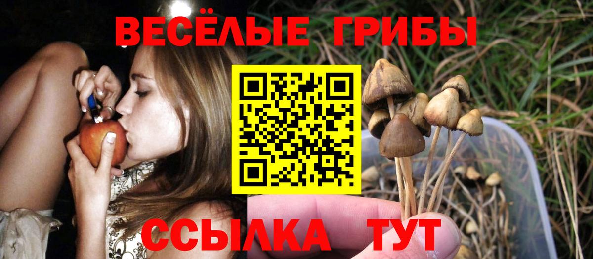 Галлюциногенные грибы MAGIC MUSHROOMS Кандалакша
