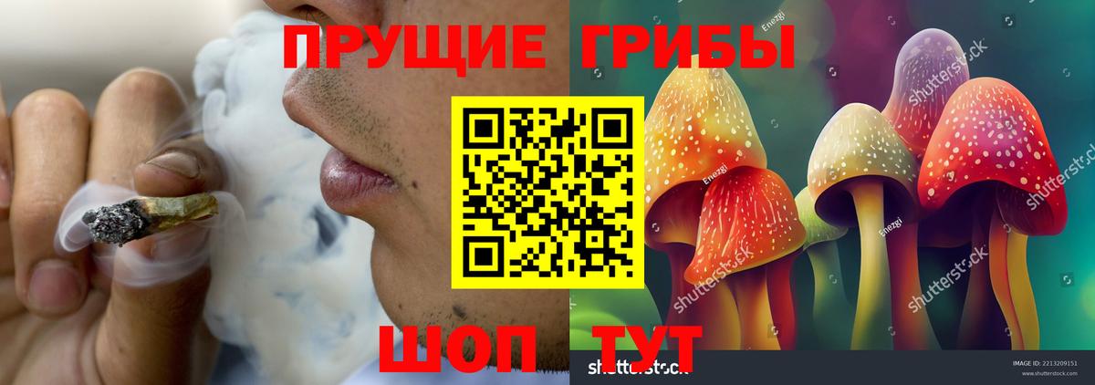 Галлюциногенные грибы Cubensis  Вход с VPN  Кандалакша  Галлюциногенные грибы прущие грибы 